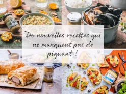 Nouvelle idées pour la saison estivale - Reine de Dijon