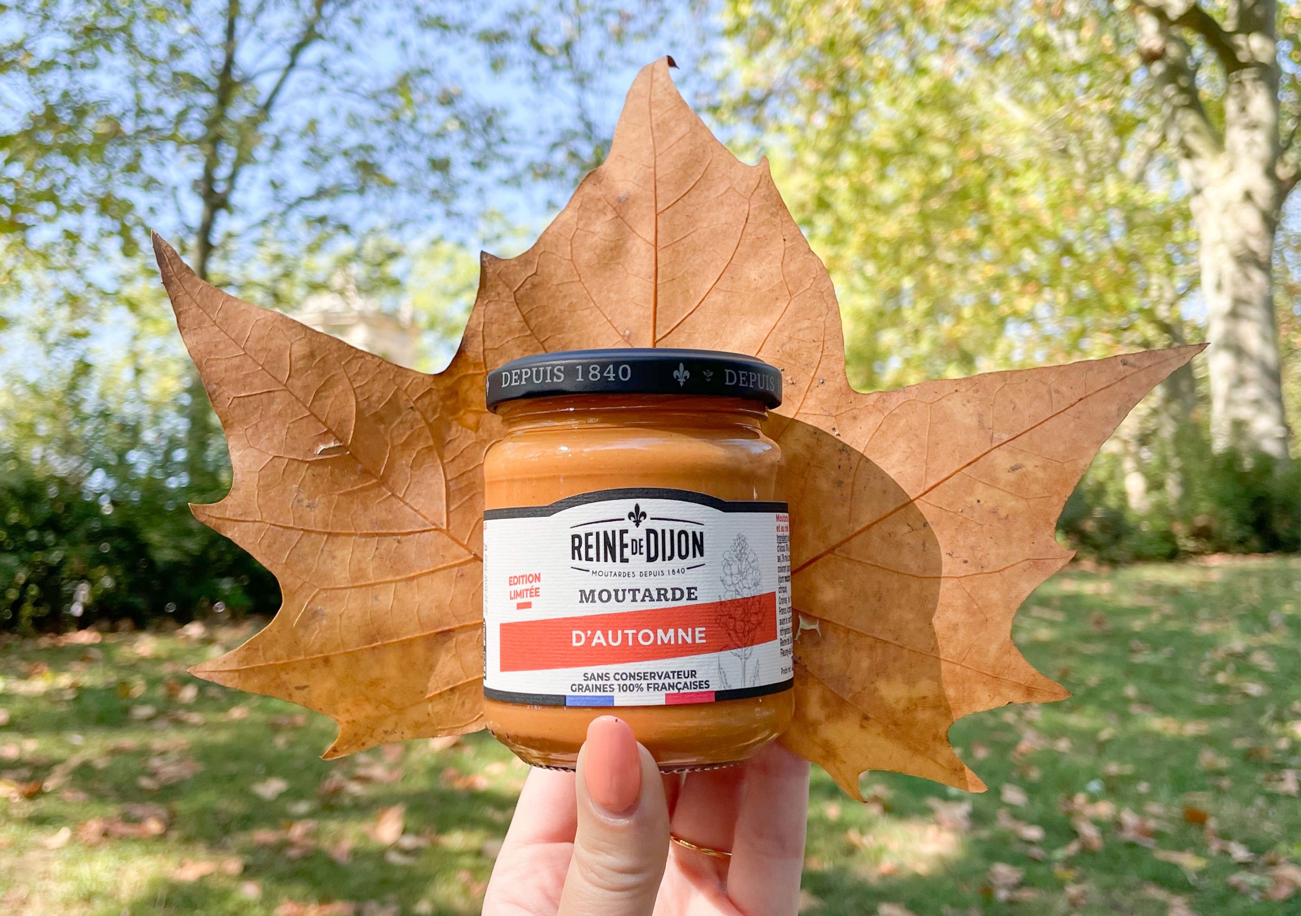 Moutarde d'automne Reine de Dijon